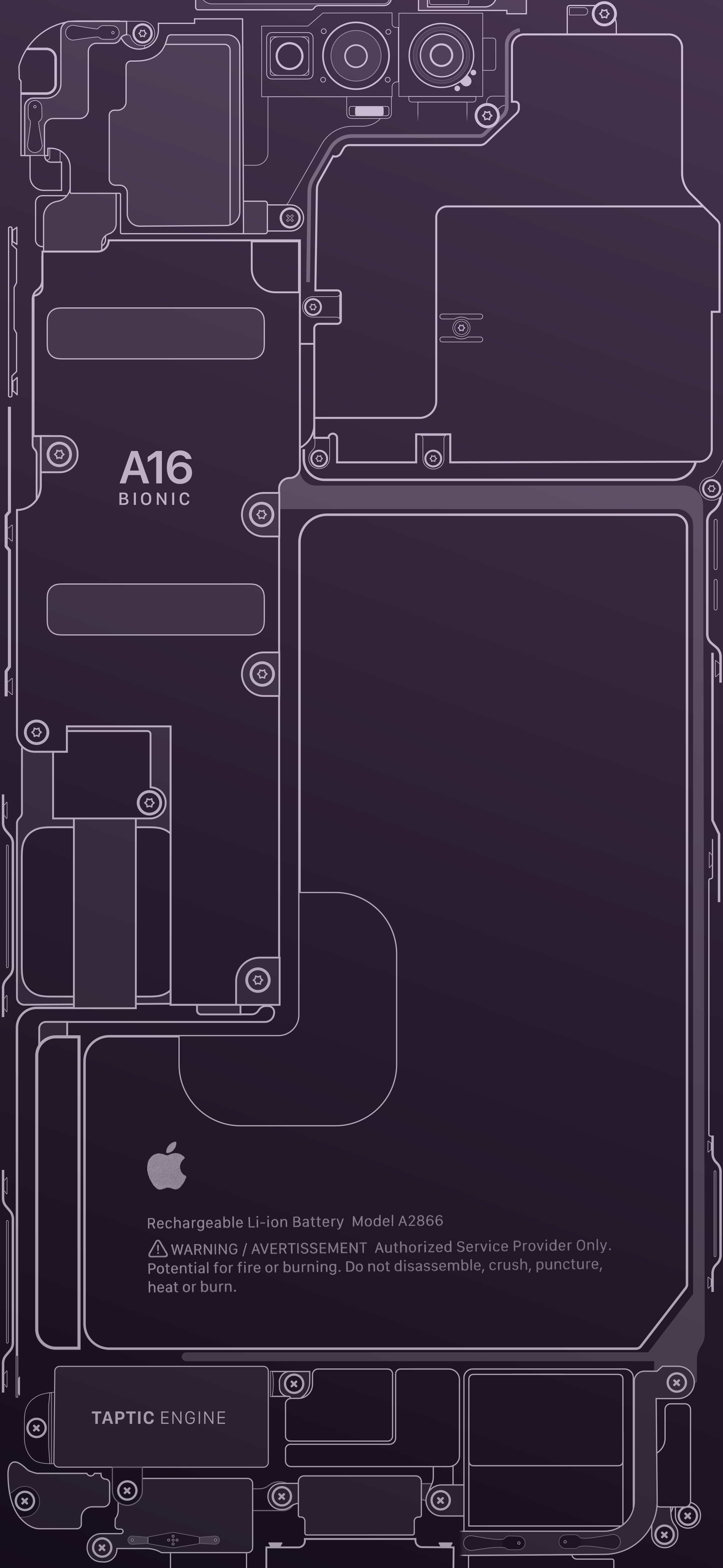 iPhone 14 Pro - Teardown wallpaper (Deep Purple) - Wallpapers Central