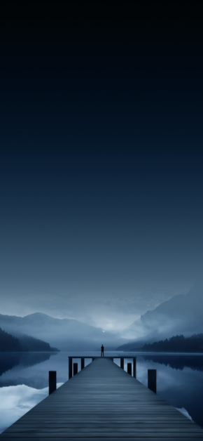 Vivo X21 Third