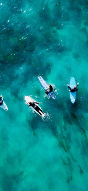 Surf