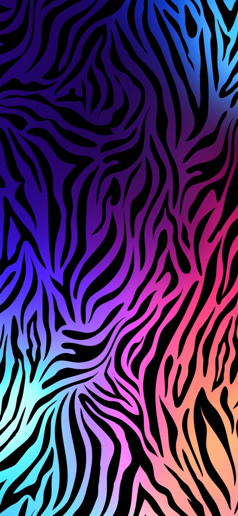 Default wallpaper of Colorful Zebra