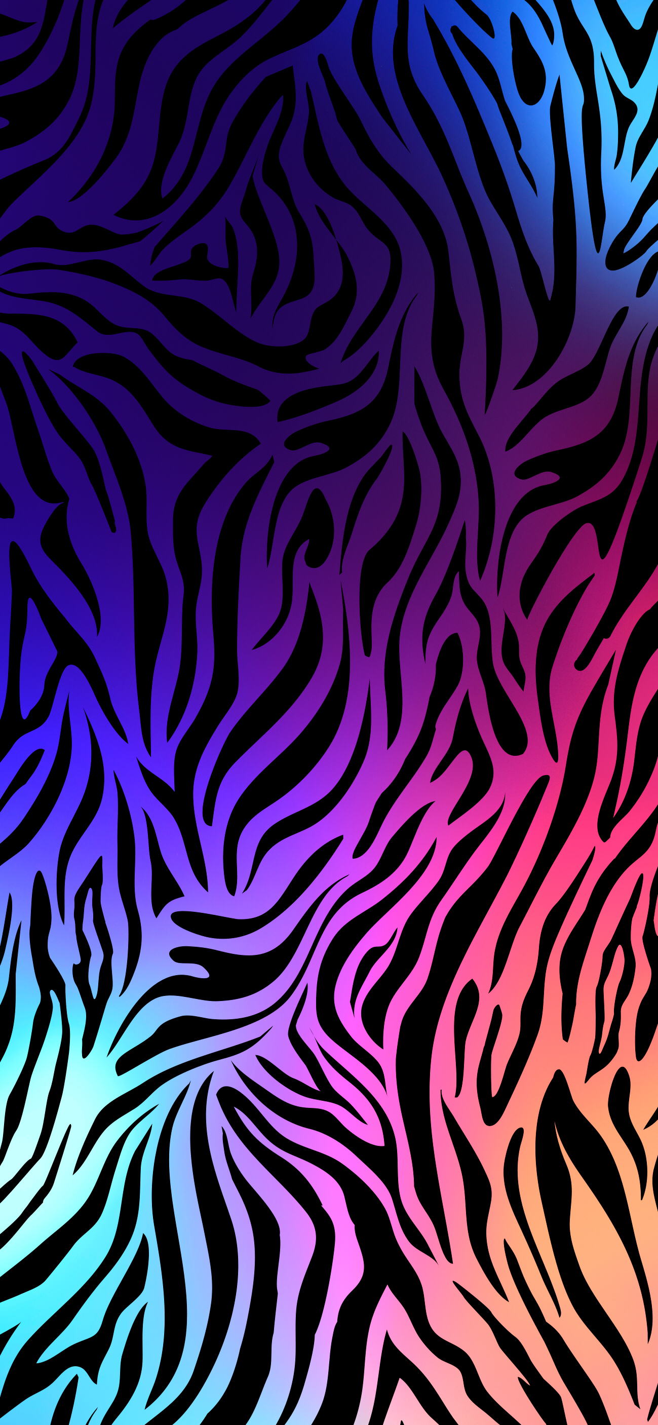 Colorful Zebra Wallpapers Central