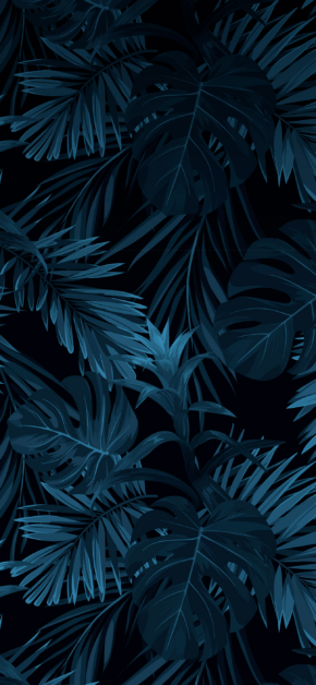 Leaves