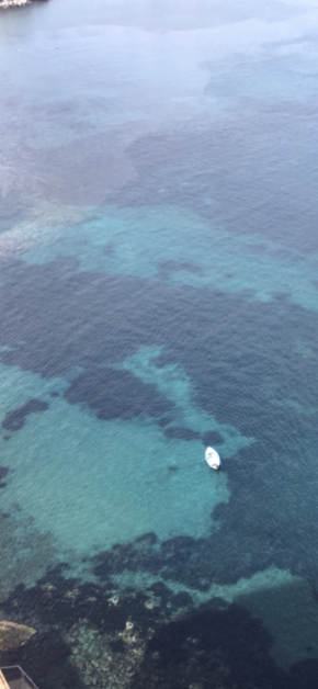 Ischia