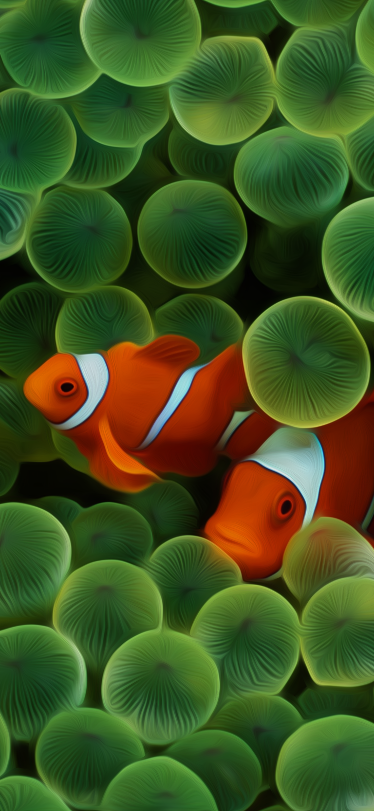 Default wallpaper of Pesce Pagliaccio (iPhone 2G) Clown Fish