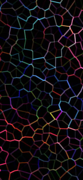 Connessioni