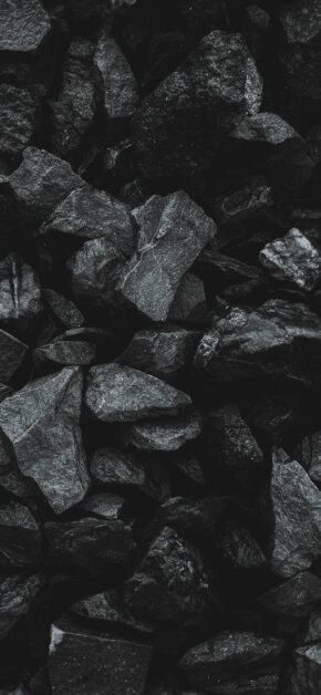 Carbons | Black