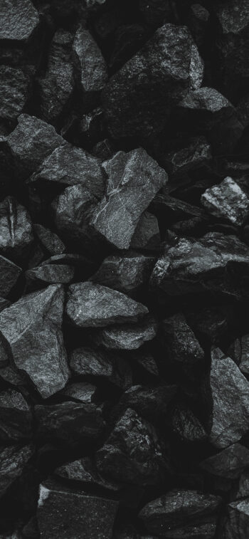Carbons | Black