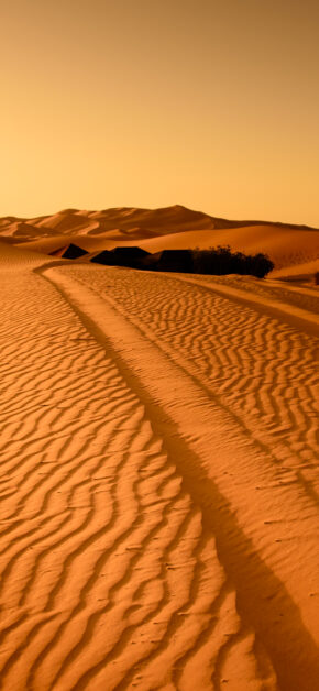 Dunes 2 iOS 12 Concept