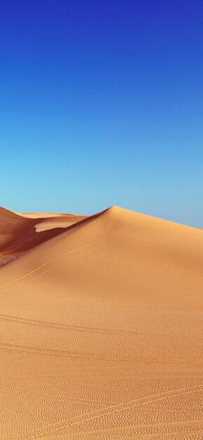 Dunes iOS 12 Concept