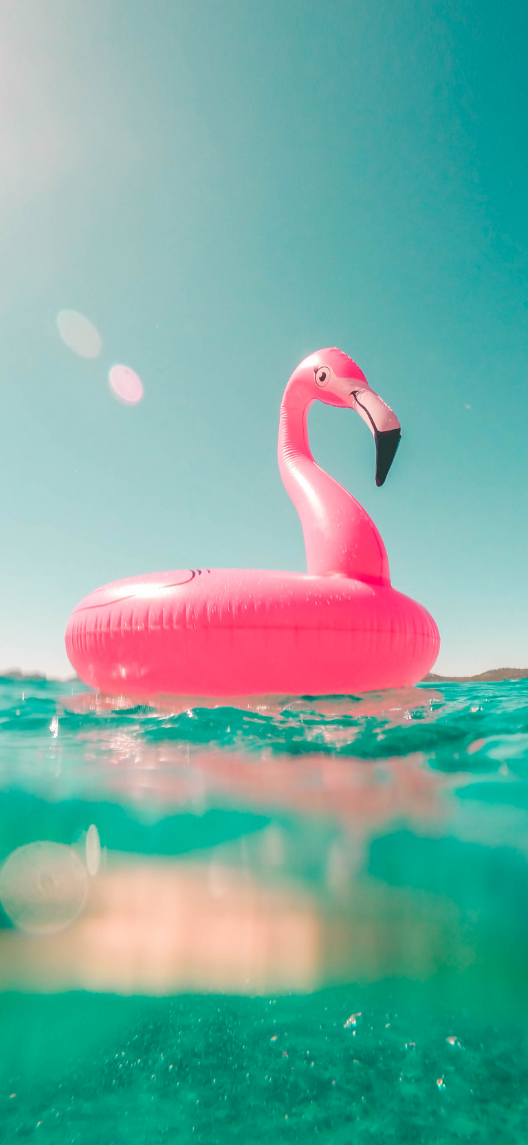 Default wallpaper of Flamingo Summer