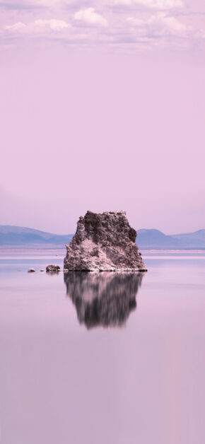 Mojave Desert 4