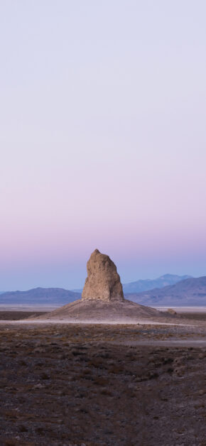 Mojave Desert 6