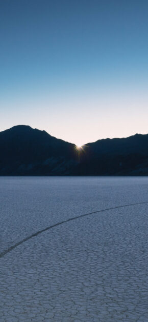 Mojave Desert 7