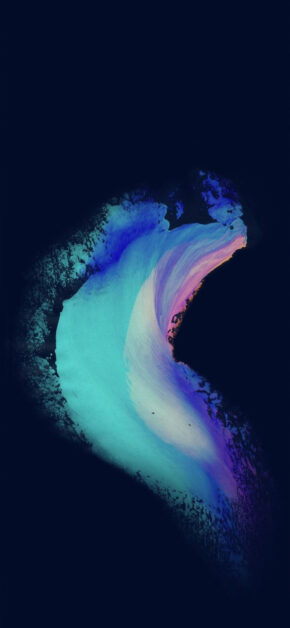 Cavex