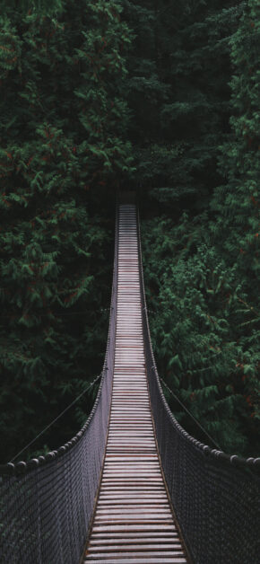 Ponte