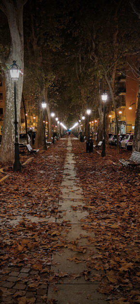Autumn Park