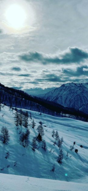 Winter 2020