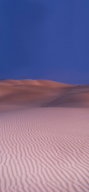 Red Desert