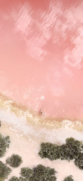 Official iPad Pro (2017) – Rose Gold Marble | Stock Wallpaper