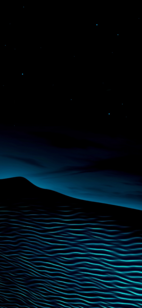 Night Desert