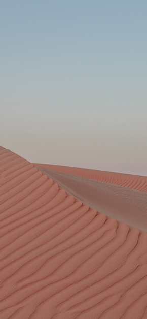 Erg Desert