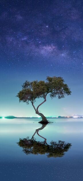 Enchanted Tree