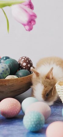 Easter 2020 | LIVE Wallpaper