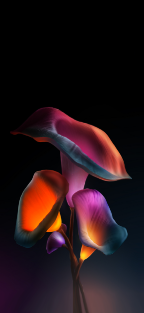 Levitae Flower #1 – L’Amour Collection