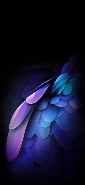 Plumage