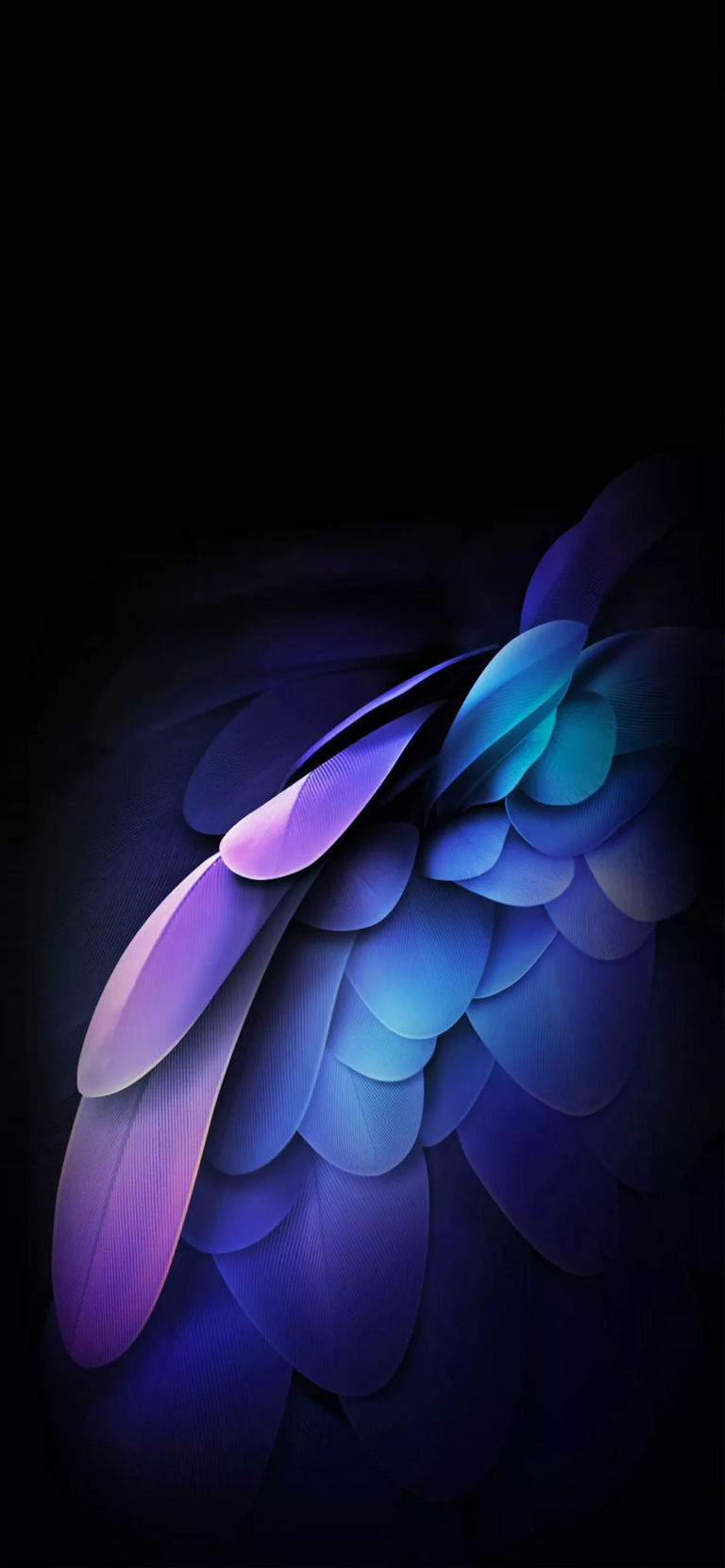 Default wallpaper of Plumage