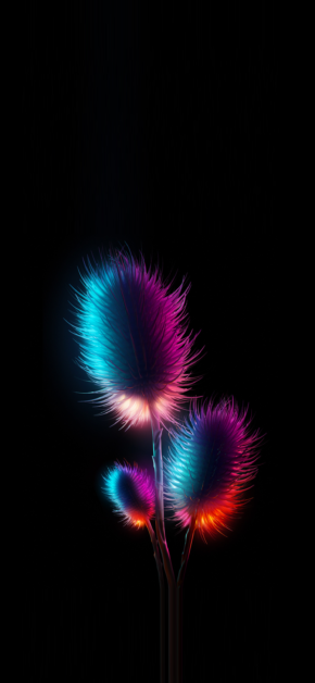 Levitae Flower #2 – L’Amour Collection