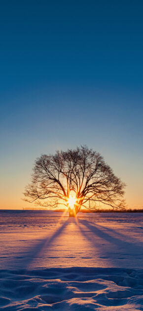 Sunset Three Snow