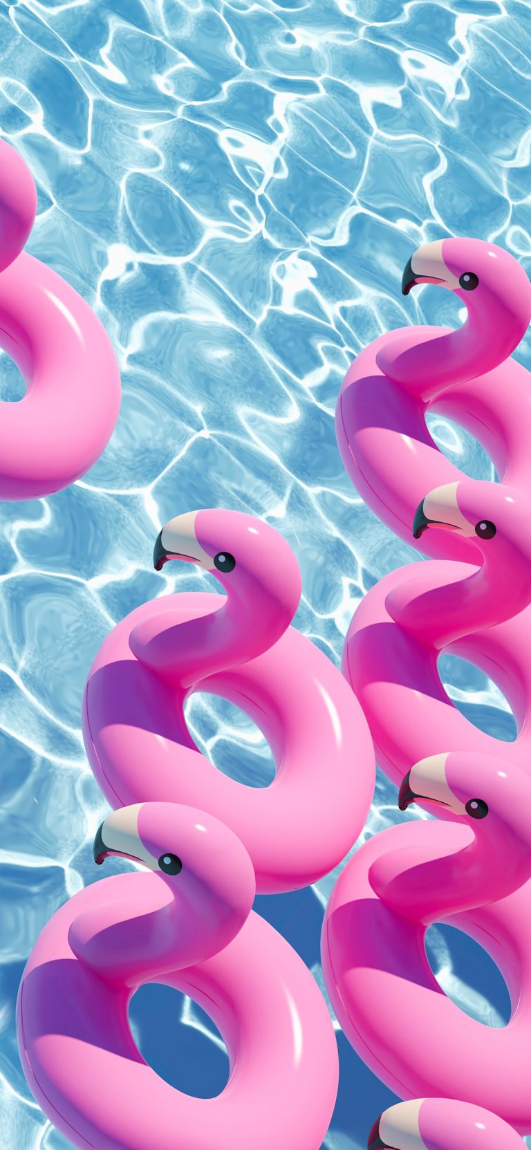 Default wallpaper of Flamingo means Summer!