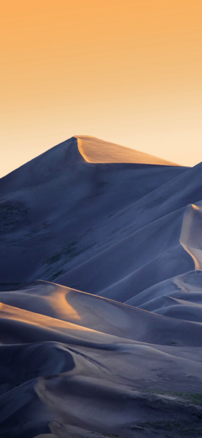 Desert Land