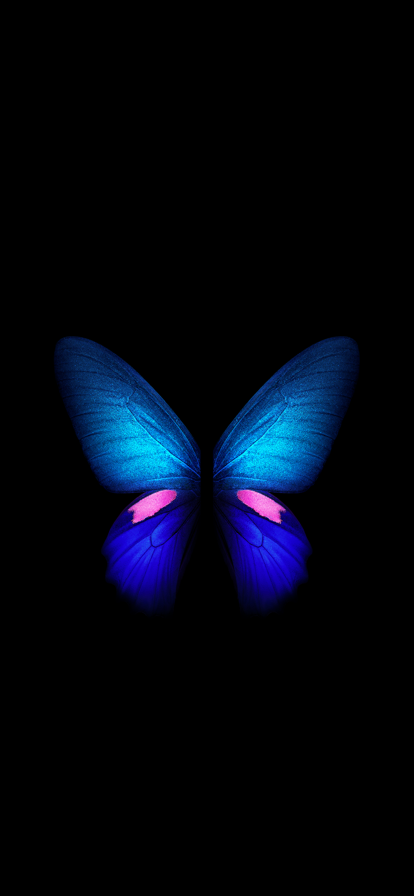 Neon Butterfly iPhone Wallpapers  Top Free Neon Butterfly iPhone  Backgrounds  WallpaperAccess