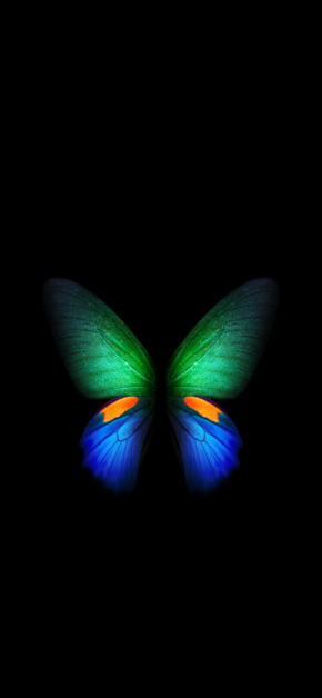 Butterfly – Galaxy Fold (Silver) | LIVE Wallpaper