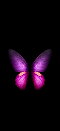 Butterfly - Galaxy Fold (Black) | LIVE Wallpaper