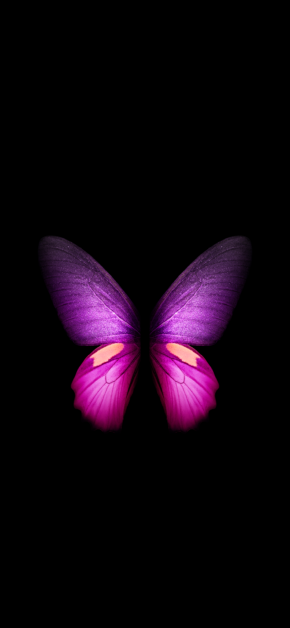 Butterfly – Galaxy Fold (Black) | LIVE Wallpaper