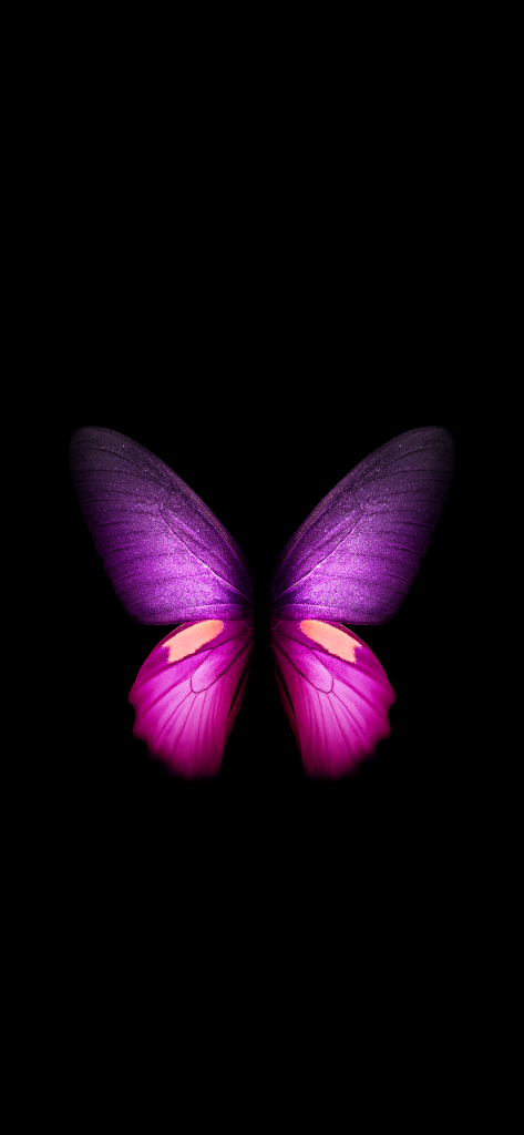 Butterfly - Galaxy Fold (Black) | LIVE Wallpaper - Wallpapers Central