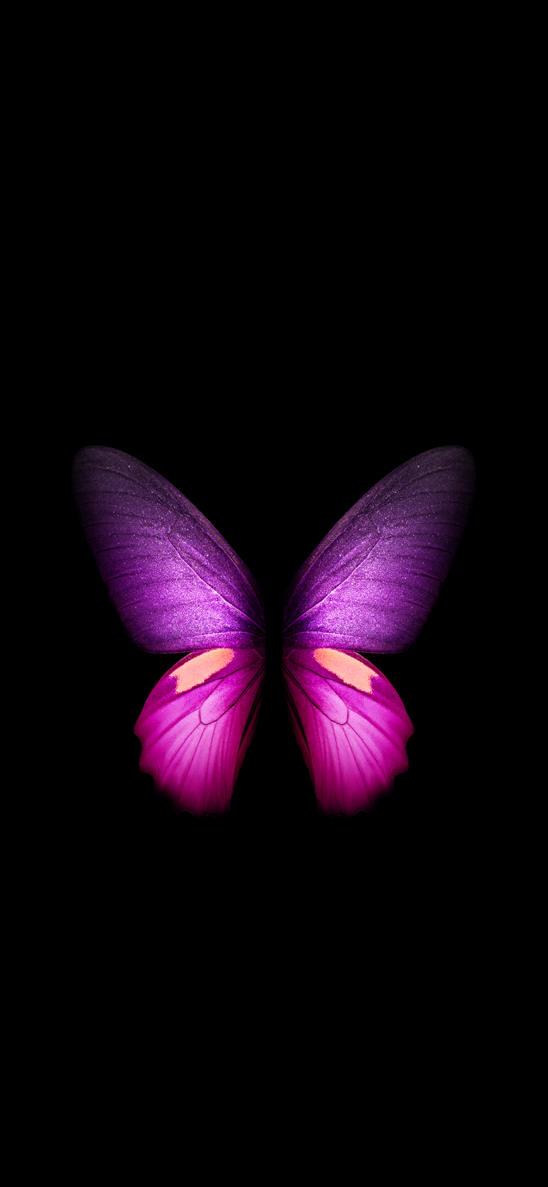 Default wallpaper of Butterfly – Galaxy Fold (Black) | LIVE Wallpaper