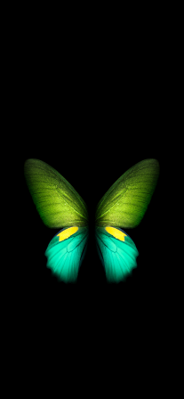 Butterfly - Galaxy Fold (Green) | LIVE Wallpaper