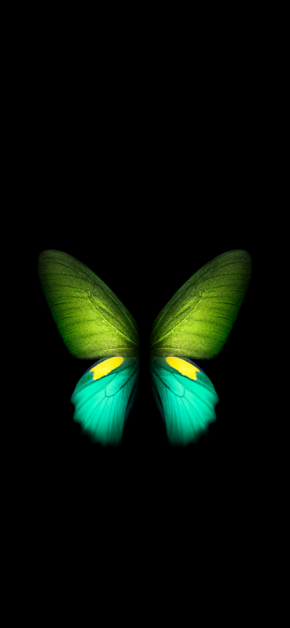 Butterfly – Galaxy Fold (Green) | LIVE Wallpaper