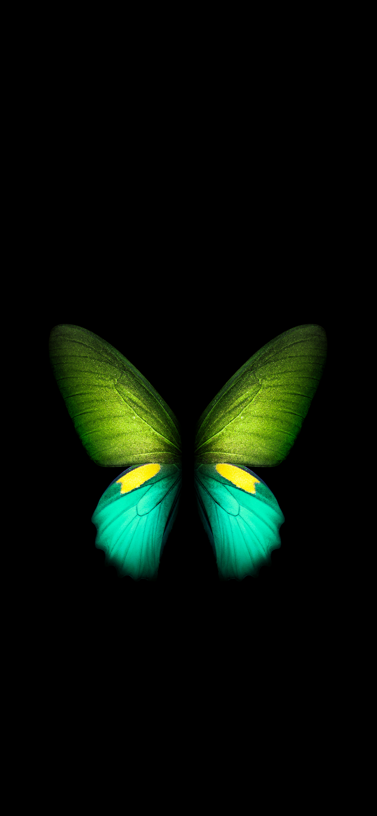 Default wallpaper of Butterfly – Galaxy Fold (Green) | LIVE Wallpaper