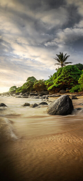 Hawaii Beach