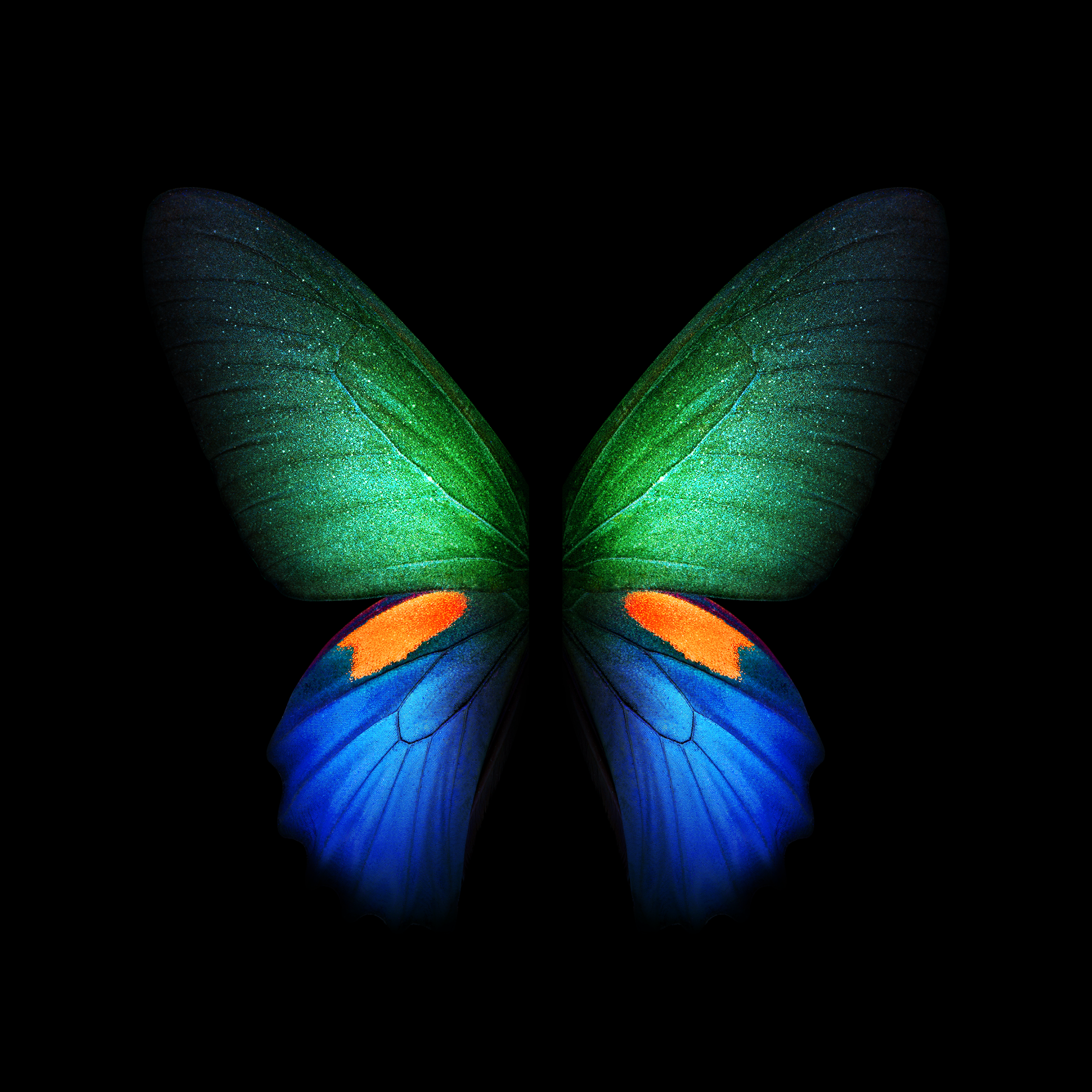 Butterfly - Galaxy Fold (Silver) | LIVE Wallpaper - Wallpapers Central