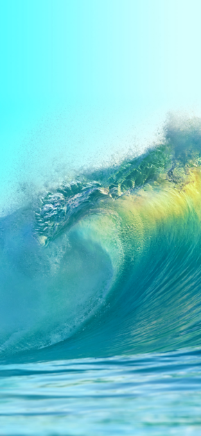 Sea Wave