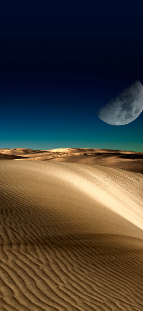 Night Desert