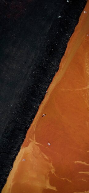 Black and Orange
