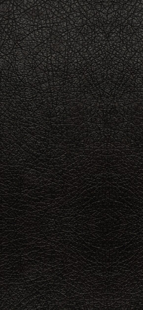 Leather – Pelle nera