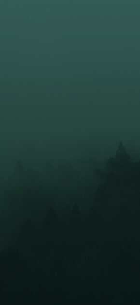 Green Forest